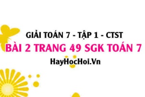 Giải bài 2 trang 49 Toán 7 Tập 1 SGK Chân trời sáng tạo